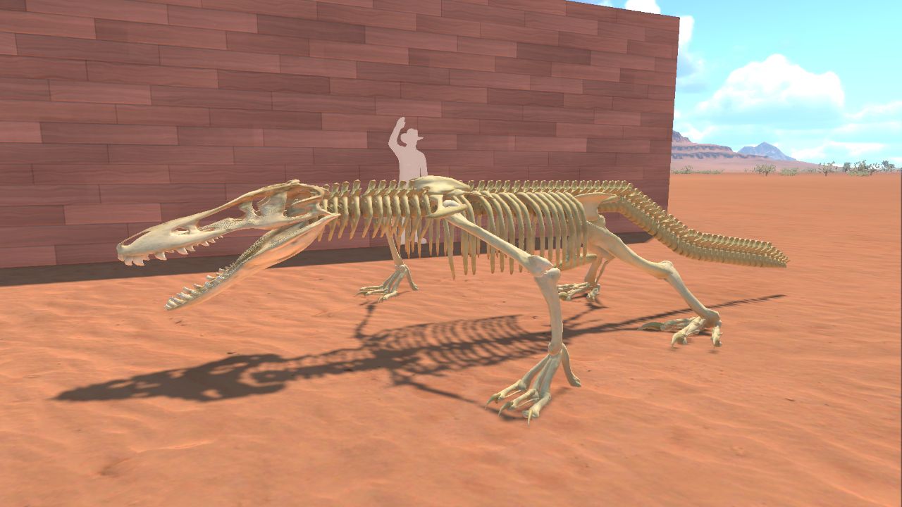 complete skeleton