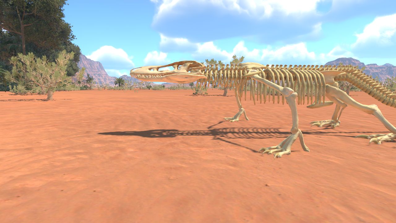 lizard skeleton 2