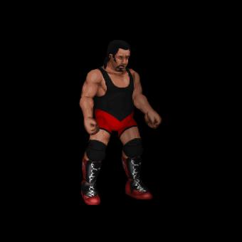 Tiger Ali Singh