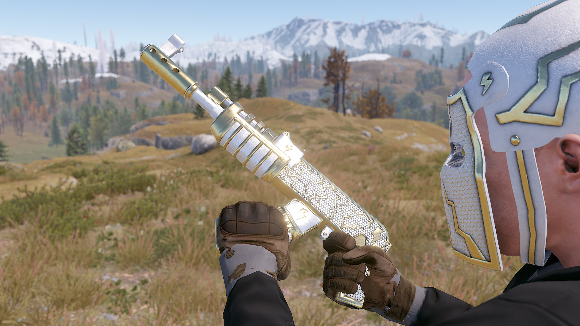 Thundergold AR