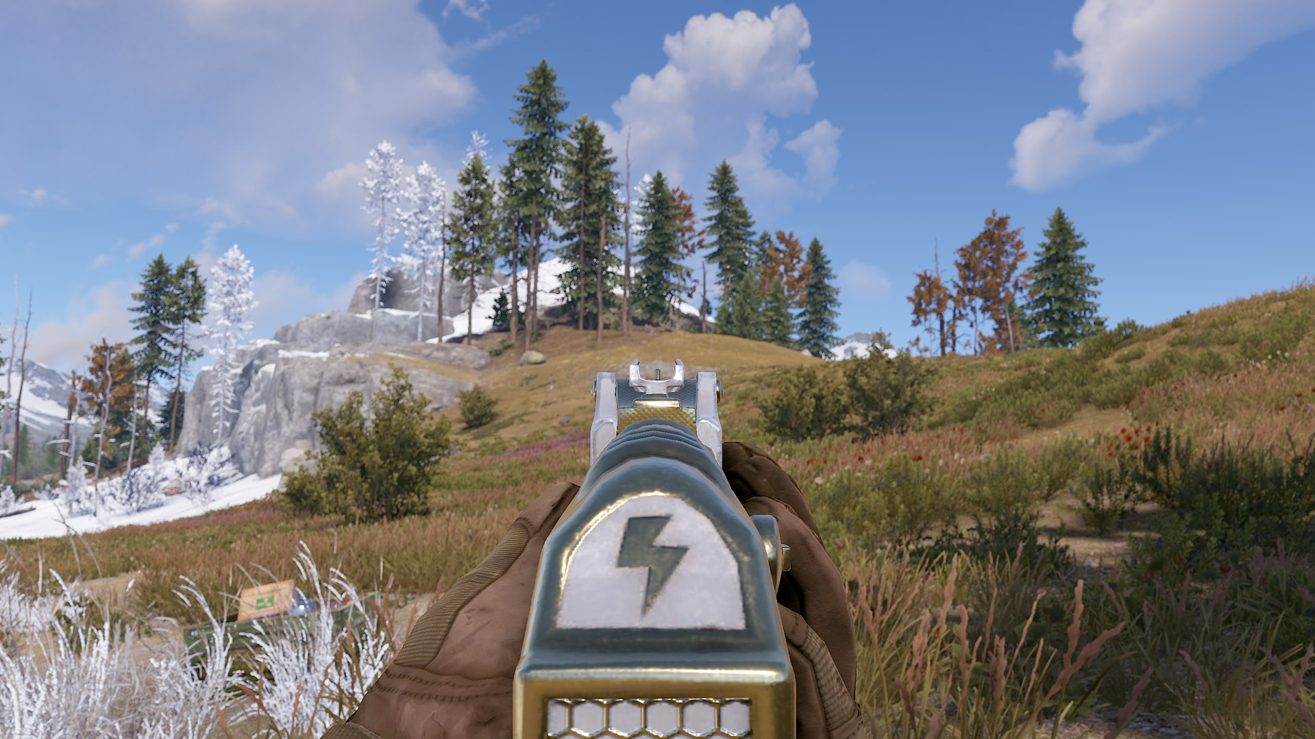 Thundergold AR