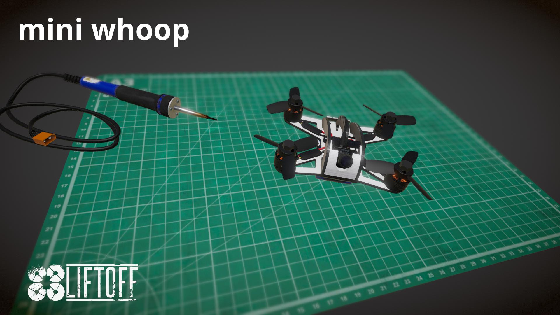 mini whoop