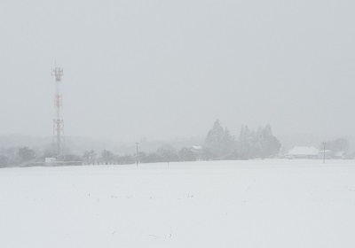 In the snowy field