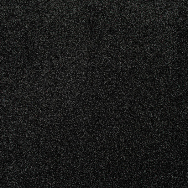 Black Carpet