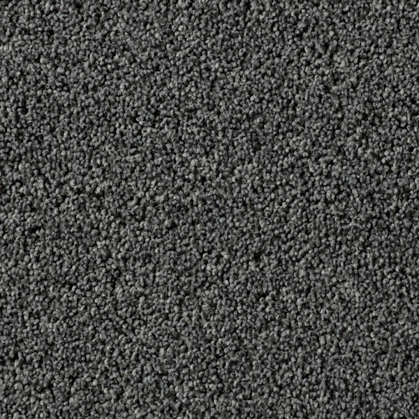 black carpet ifartmoney