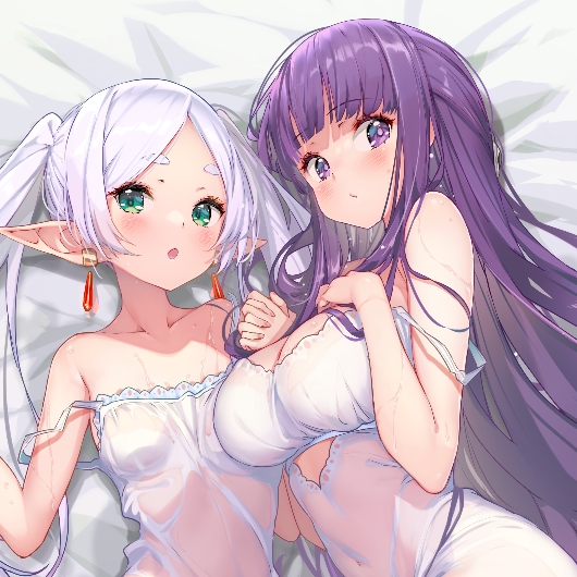 Frieren & Fern (X-Ray) preview