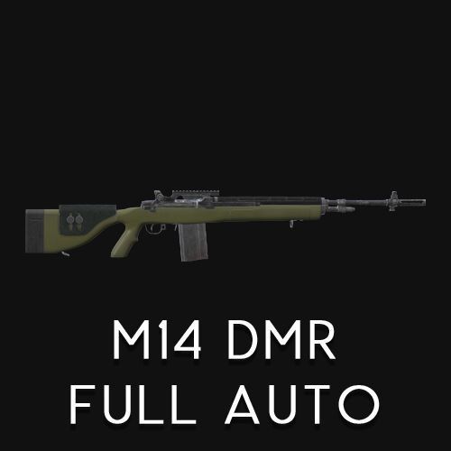 M14 Auto