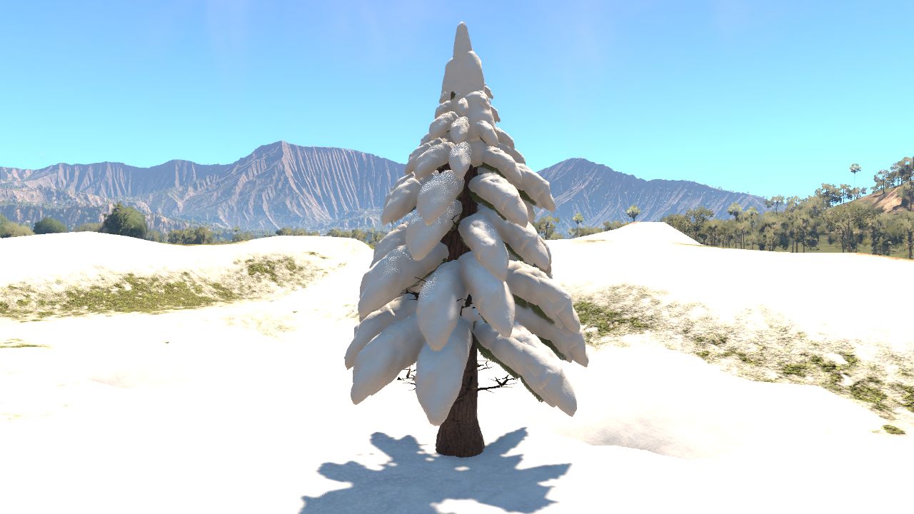 snow covered tree