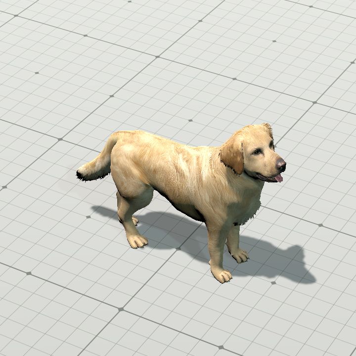 Golden Retriever