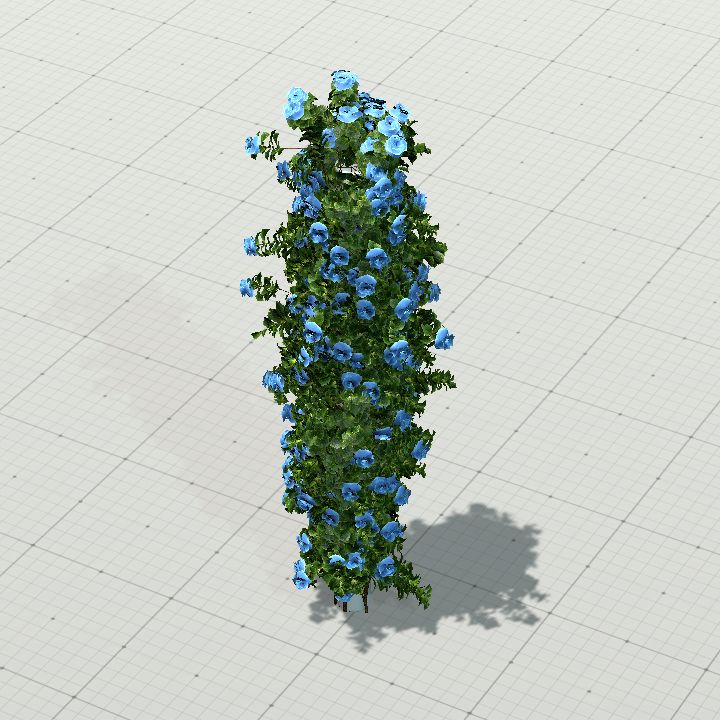 ClimbingRoseColumnBlue