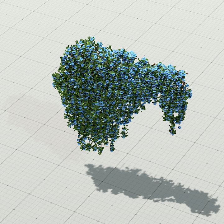 ClimbingRoseWallTopBlue