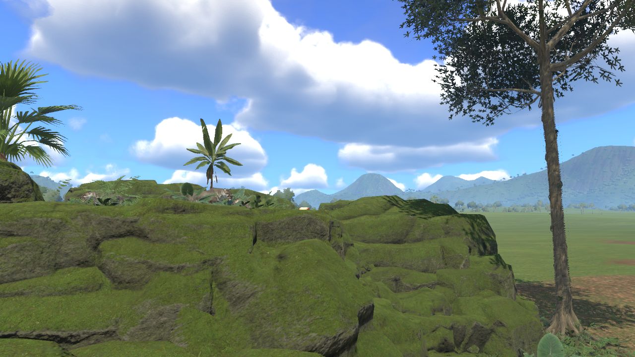 Big tropical rock 1