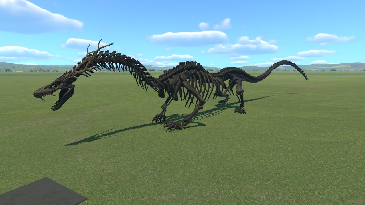 Eastern Dragon Skeleton