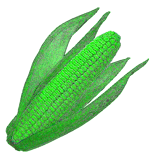 Radioactive Corn