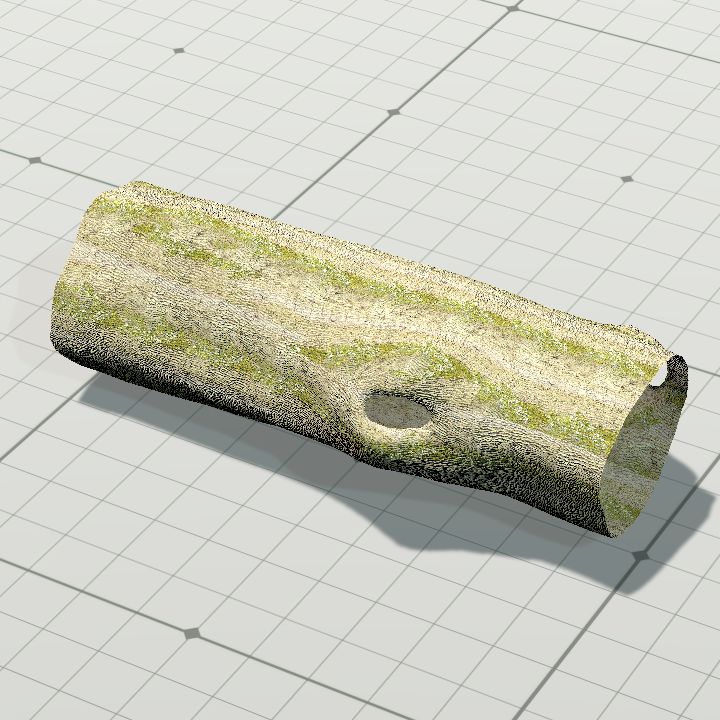 Log 1 - hollow 3