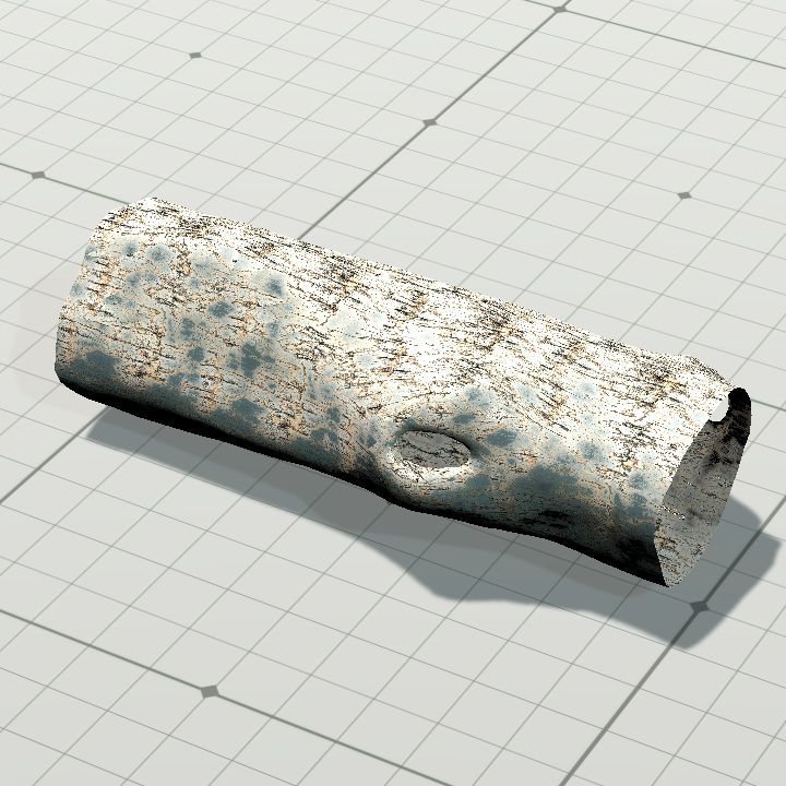 Log 1 - hollow 7