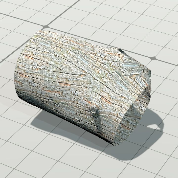 Log 2 - hollow 2