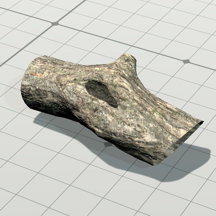 Log 3 - hollow 1