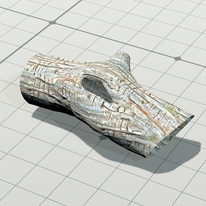 Log 3 - hollow 2