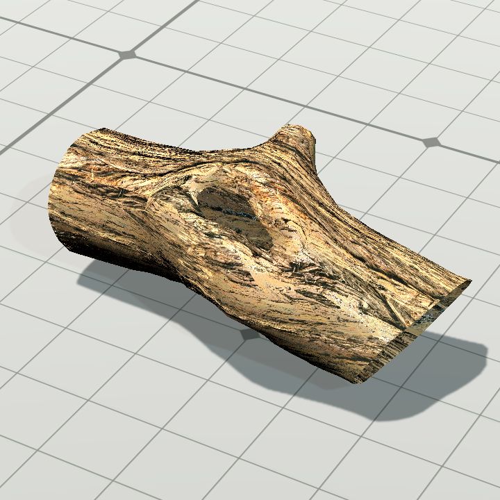 Log 3 - hollow 4