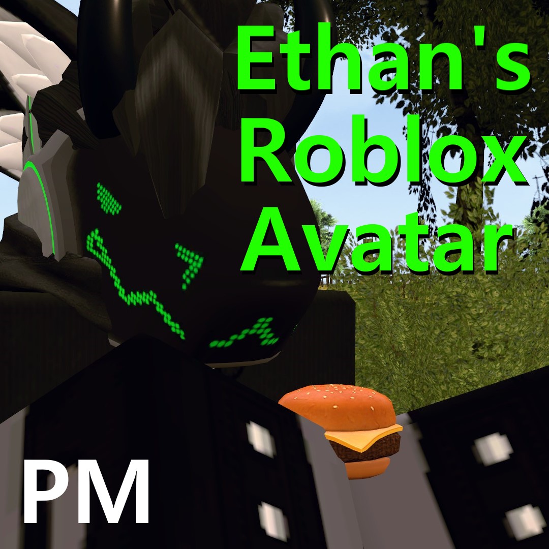 [PM] Ethan's Roblox avatar

