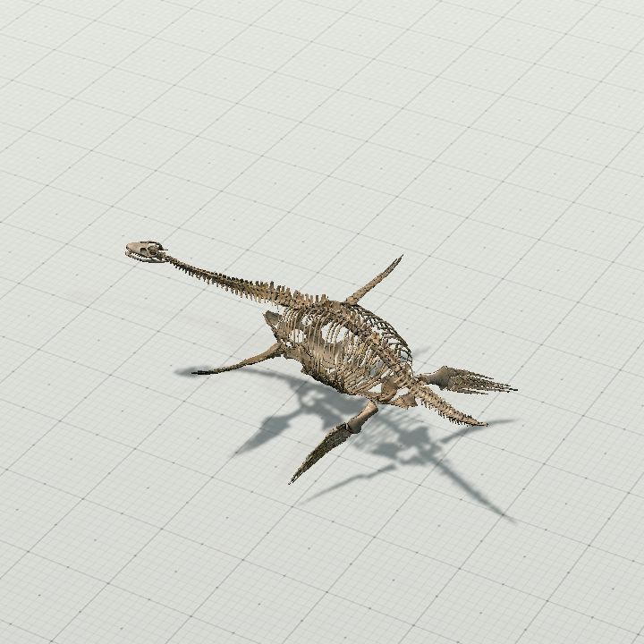 plesiosaur