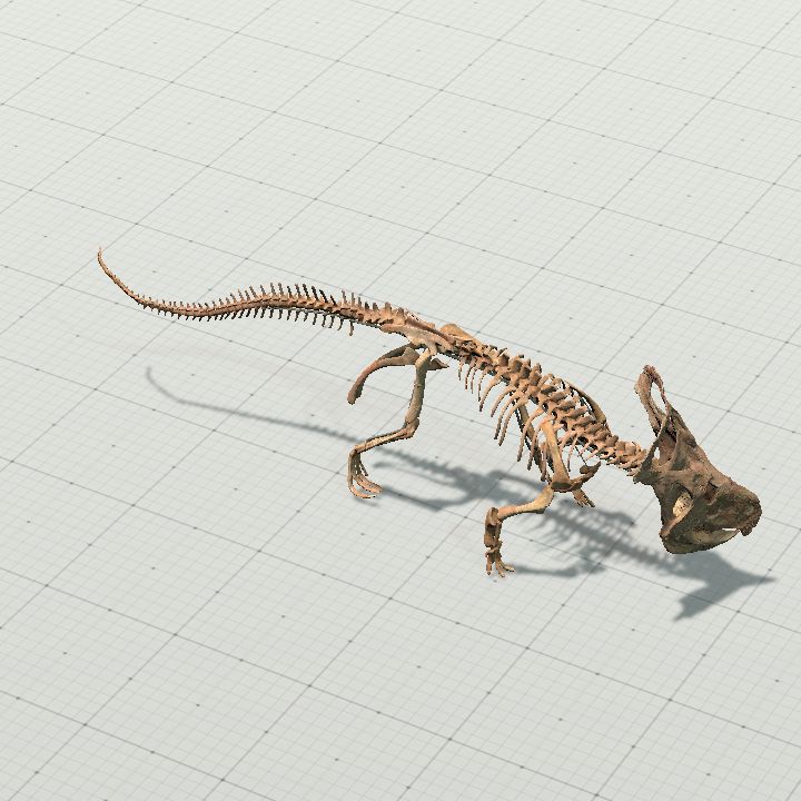 protoceratops_skeleton