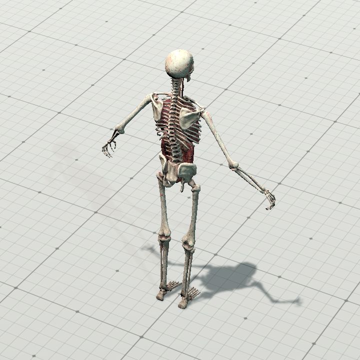 raised_dead