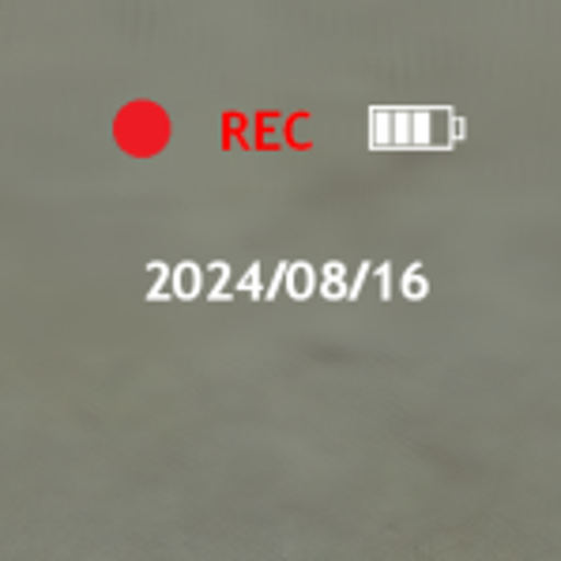 Camera HUD