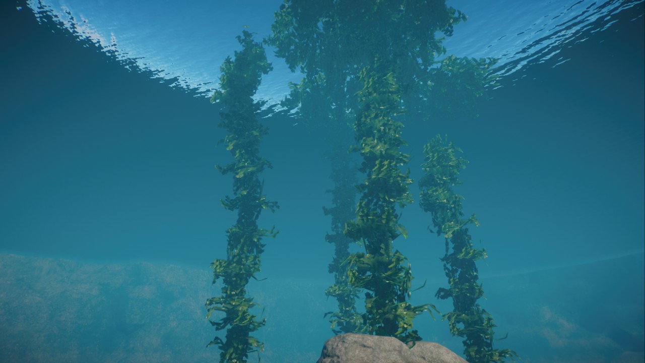 Kelp (Alpine Currant)