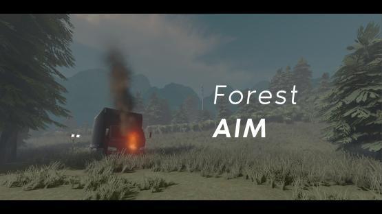 FOREST AIM 3X3 – Counter-Strike 2 Mod