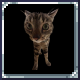 goober weapon – tModLoader Mod