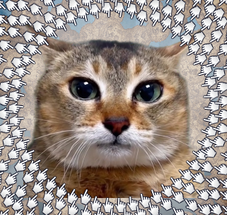 Tole Tole Clicker