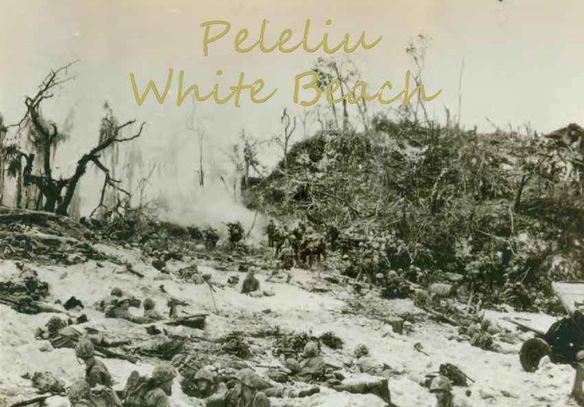 Peleliu Part I: White Beach [Mission]