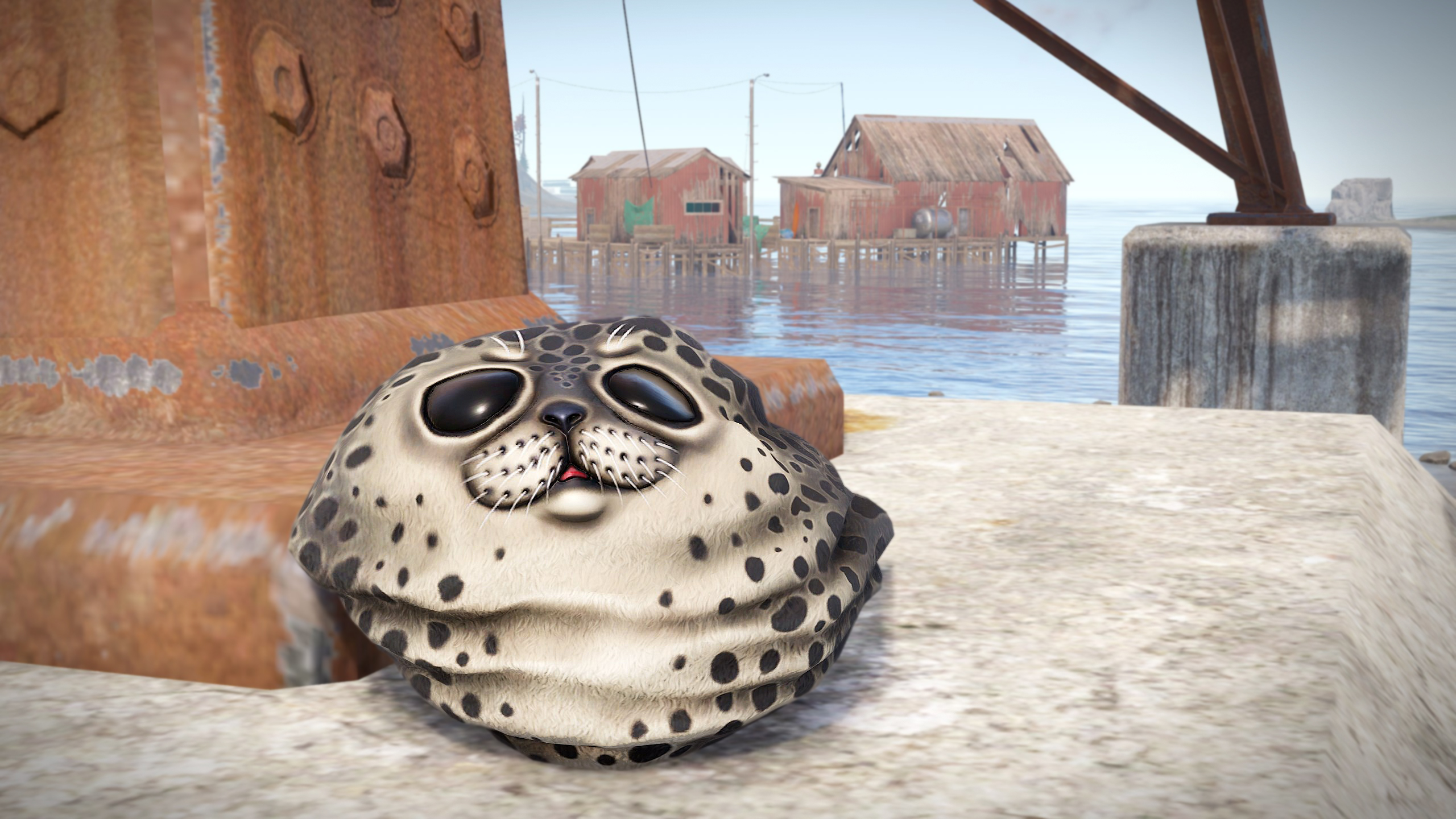 Harbor Seal Rock