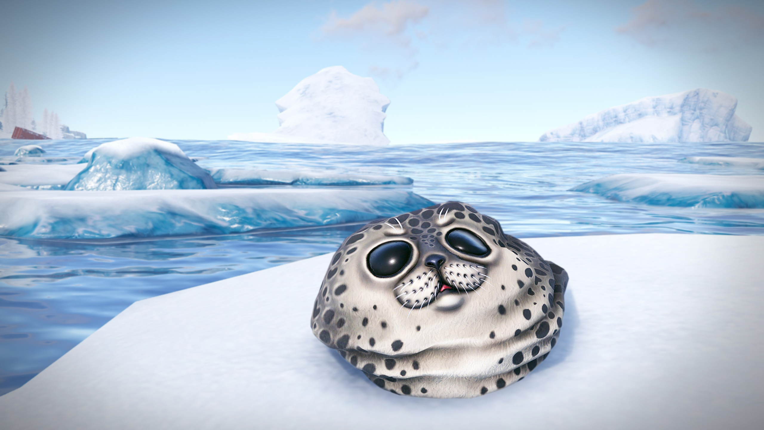Harbor Seal Rock