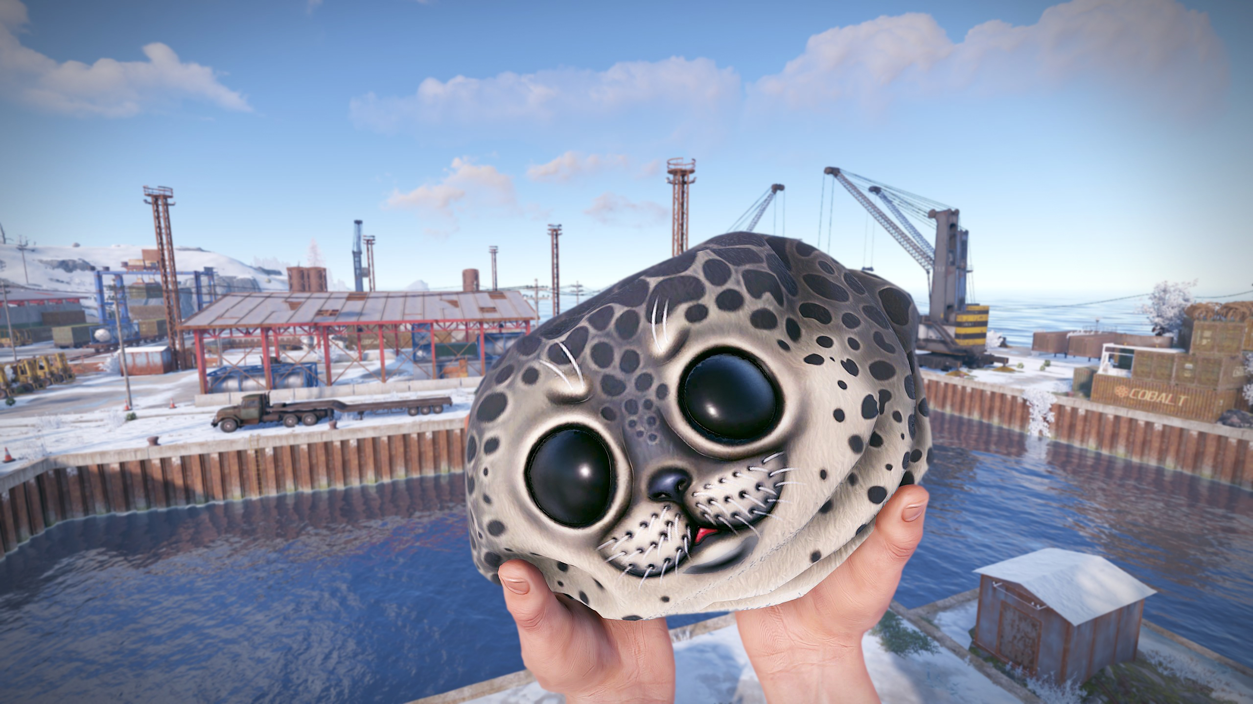 Harbor Seal Rock