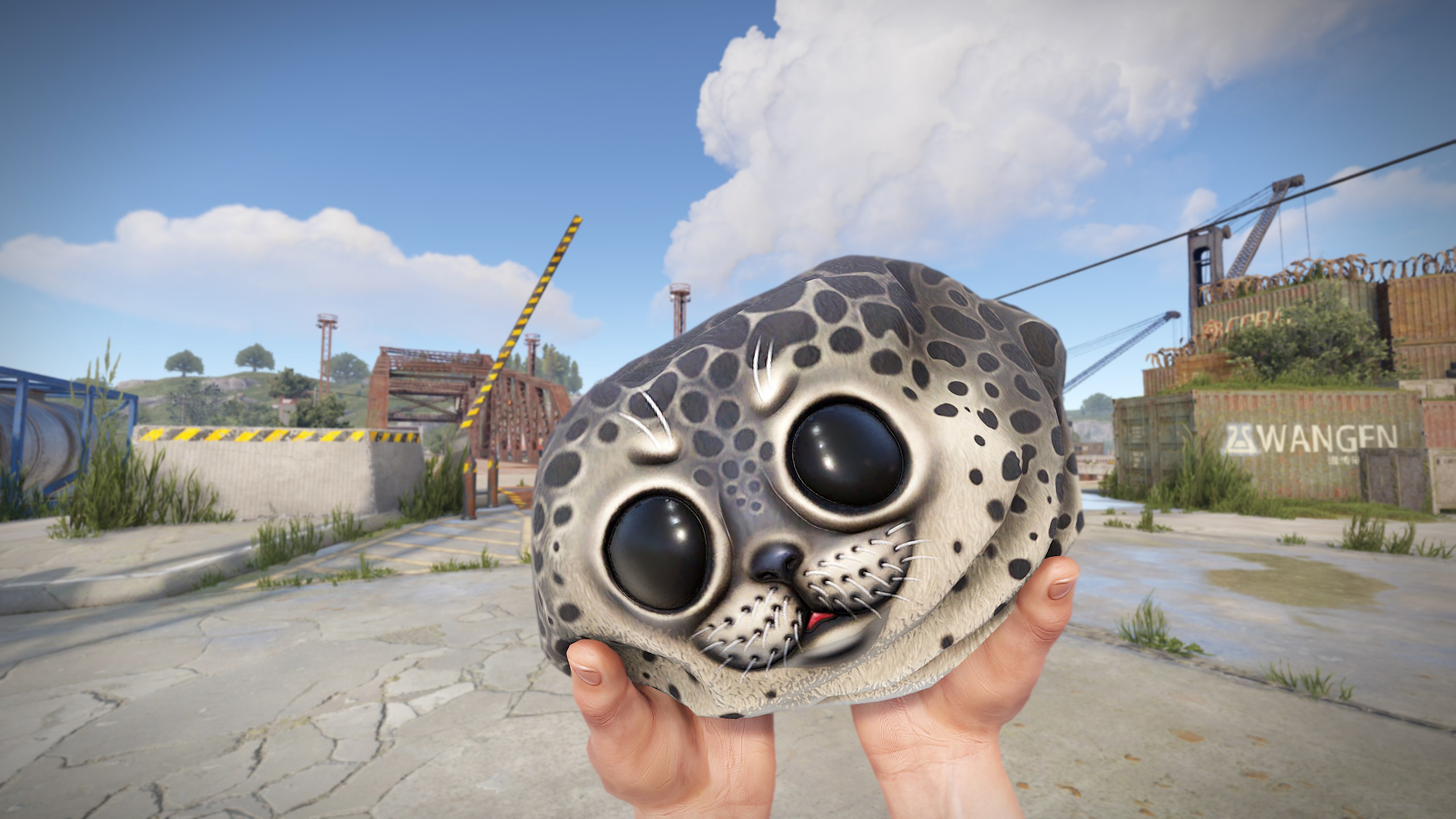 Harbor Seal Rock