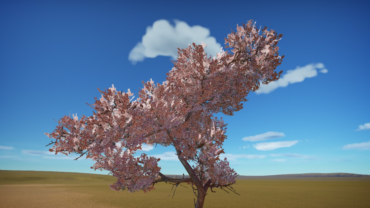 Cherry Blossom M
