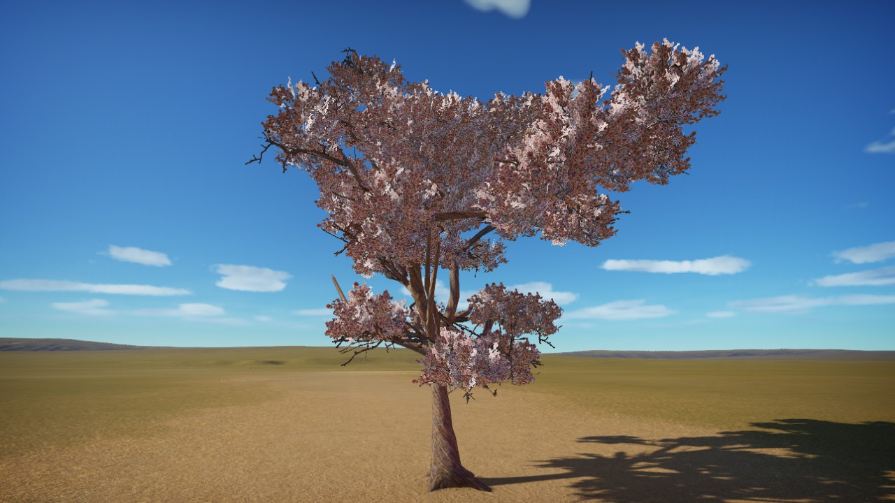 Cherry Blossom L