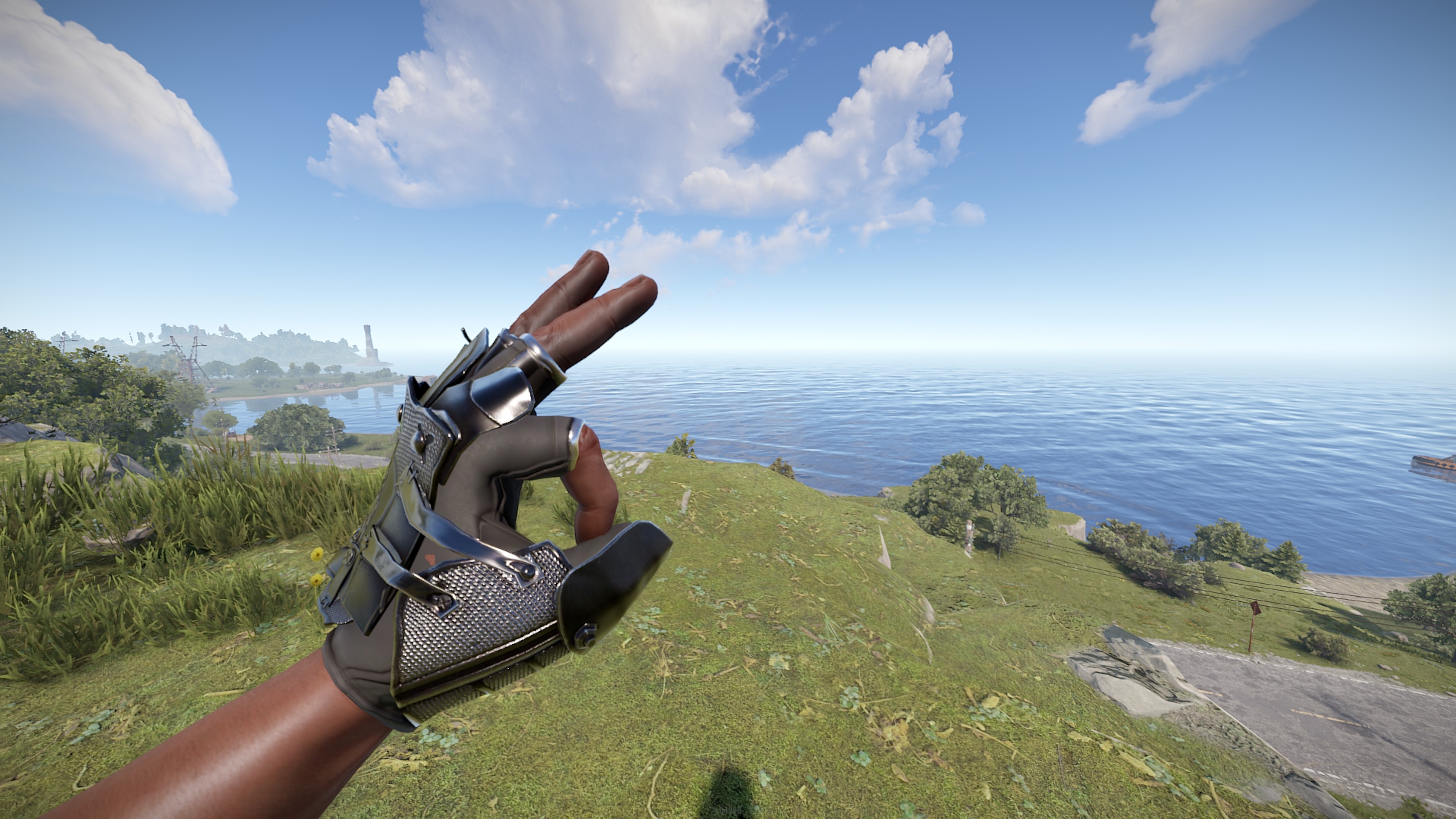 Black Diamond Gloves