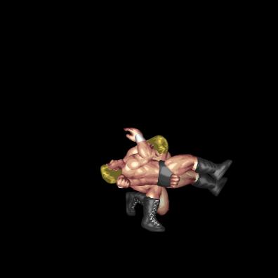 Schmidt Backbreaker B