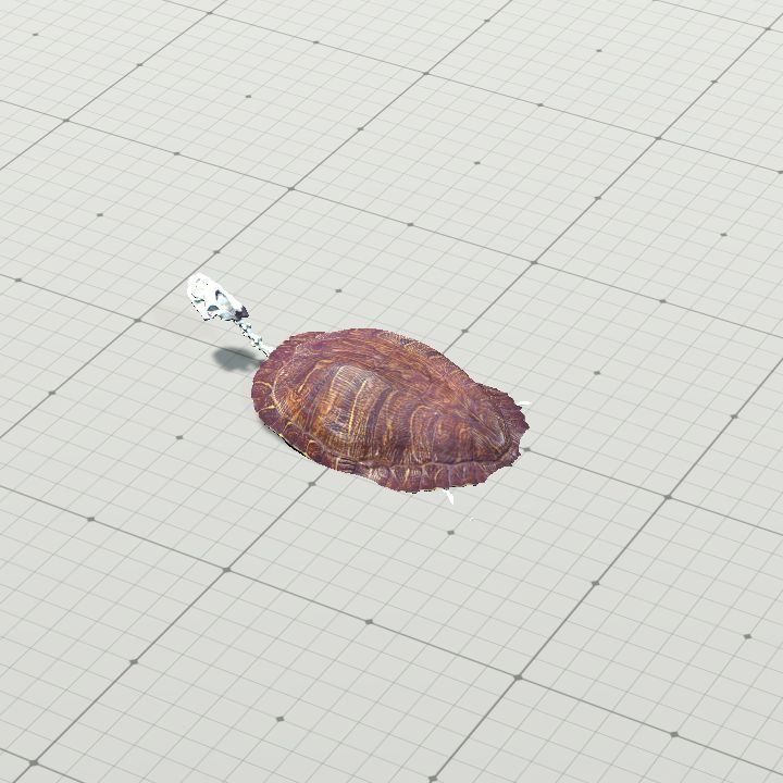 Turtle, Undead