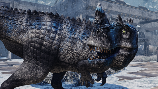 Avalanche Ceratosaurus