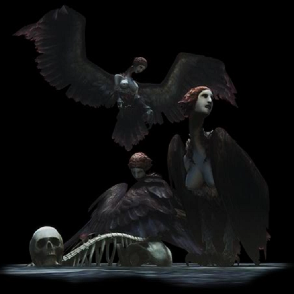 DDDA Harpy (For Chocobo)