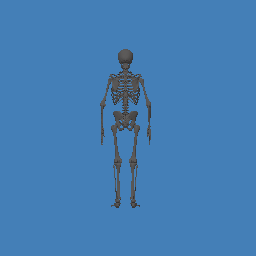 skeleton