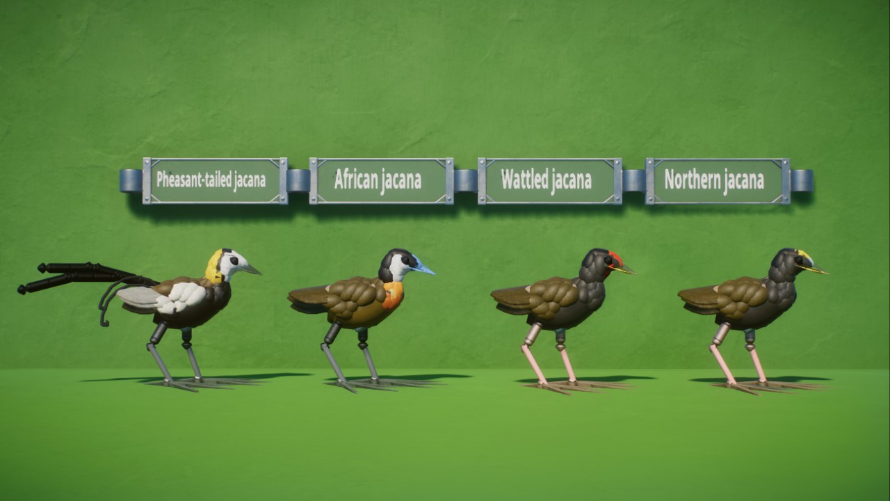 Robustus' Jacana Jumble