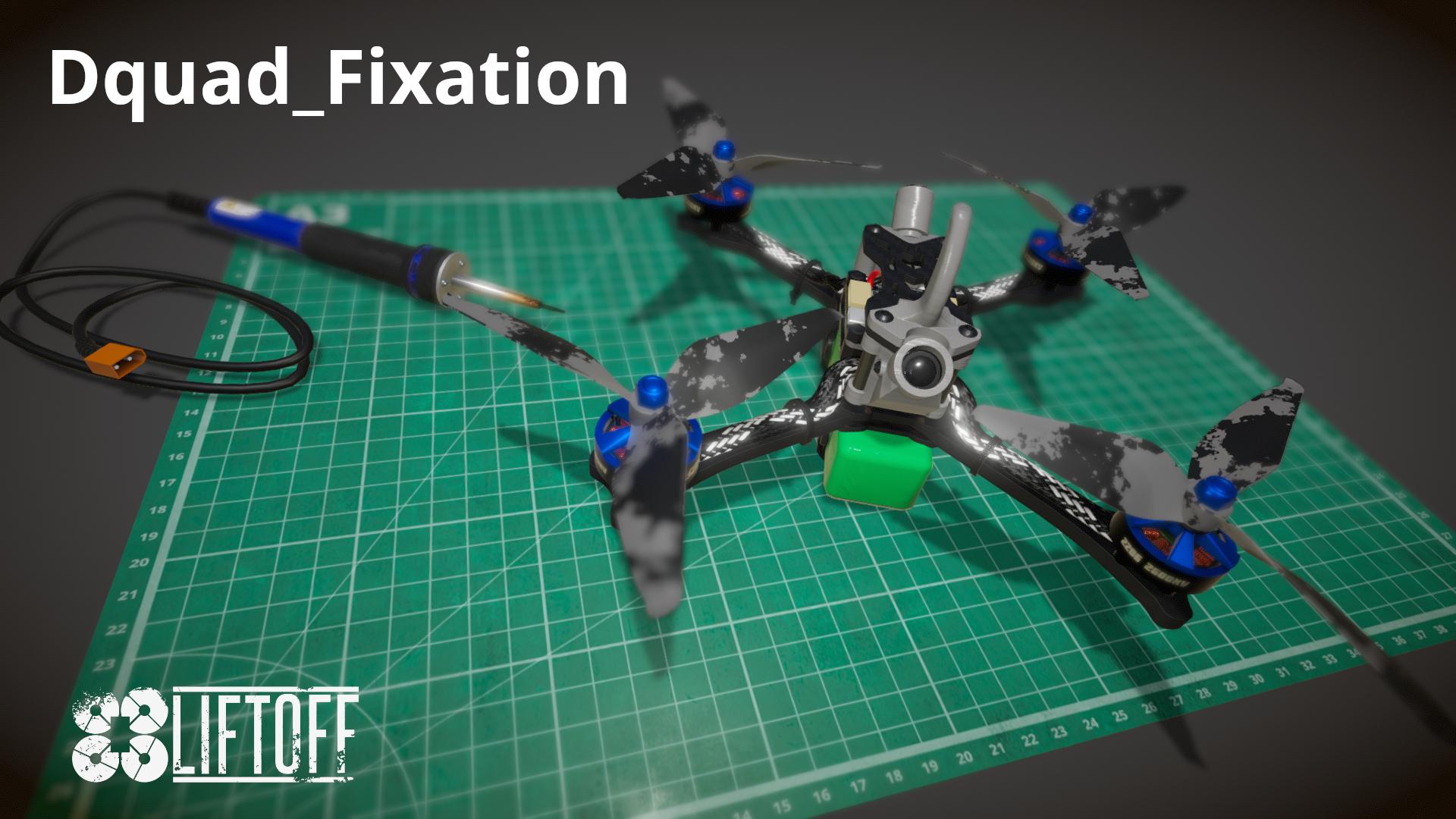 Dquad_Fixation