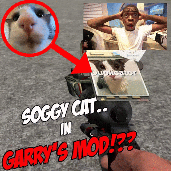 Soggy Cat Toolgun Screen