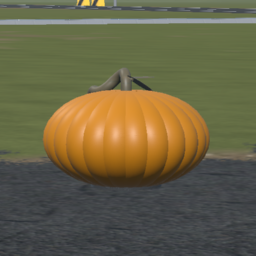 Pumpkin :)